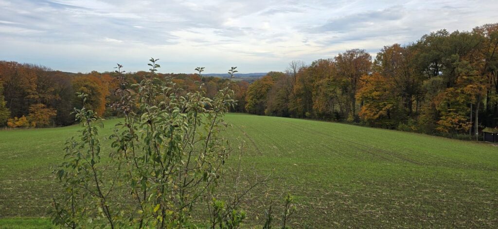 Aussicht