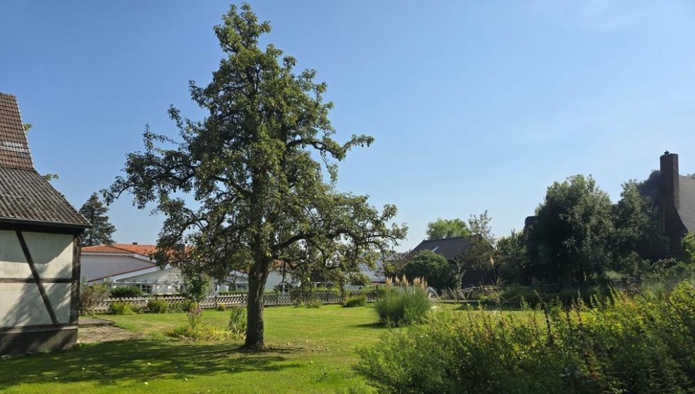 Blick vom Garten